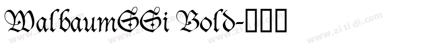 WalbaumSSi Bold字体转换